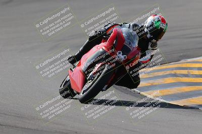 media/Nov-05-2022-SoCal Trackdays (Sat) [[f8d9b725ab]]/Turns 9 and 8 (1050am/